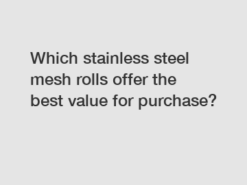 Which stainless steel mesh rolls offer the best value for purchase?