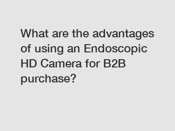 What are the advantages of using an Endoscopic HD Camera for B2B purchase?