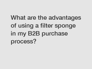 What are the advantages of using a filter sponge in my B2B purchase process?