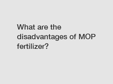What are the disadvantages of MOP fertilizer?