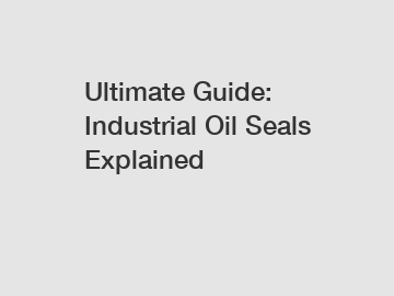 Ultimate Guide: Industrial Oil Seals Explained
