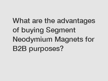 What are the advantages of buying Segment Neodymium Magnets for B2B purposes?