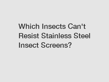Which Insects Can't Resist Stainless Steel Insect Screens?
