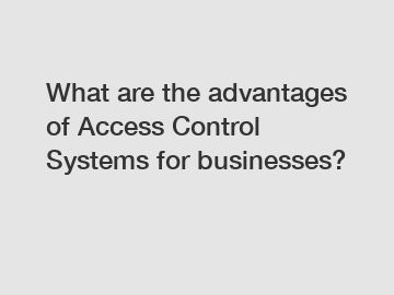 What are the advantages of Access Control Systems for businesses?