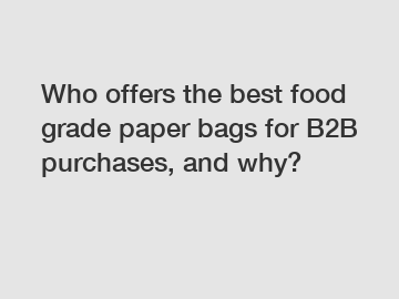 Who offers the best food grade paper bags for B2B purchases, and why?