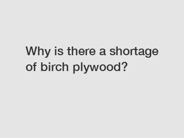 Why is there a shortage of birch plywood?
