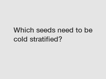 Which seeds need to be cold stratified?