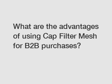 What are the advantages of using Cap Filter Mesh for B2B purchases?